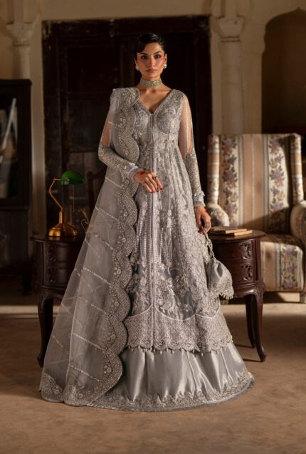 Moonlight Silver Embroidered Anarkali Ensemble