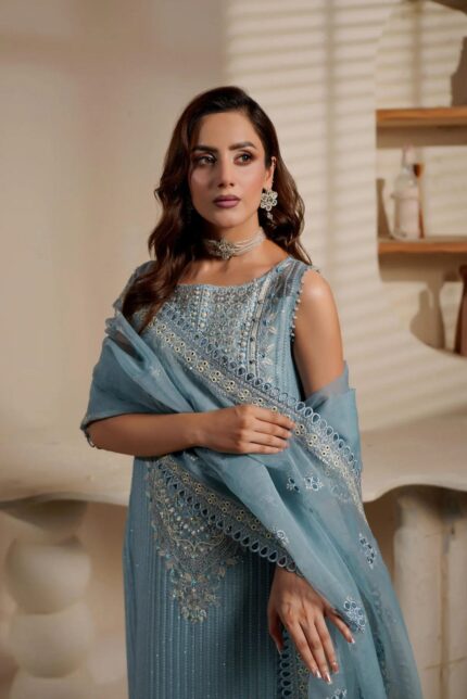 Powder Blue Chiffon Salwar with Delicate Thread Work.